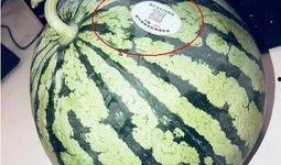 今日吃瓜必吃大瓜网红,揭秘吃瓜必看的热门事件